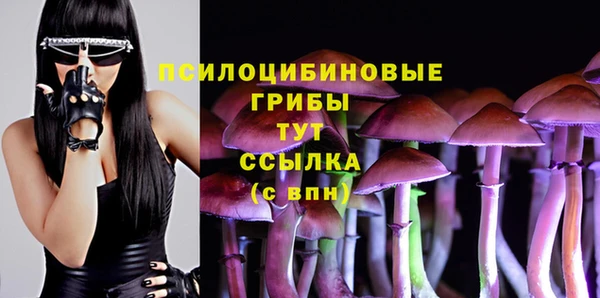 гашик Балабаново